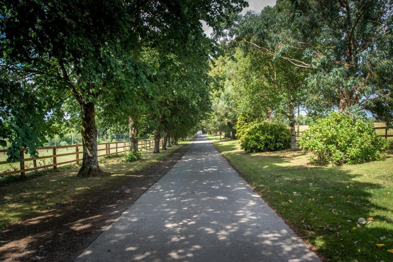 Greenway Manor Hotel Waterford Exteriör bild
